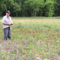 Daniel Philippe, maïsiculteur à Saint-Antoine-sur-L'Isle (33)"J'estime à près de 140 unités l'azote apporté par mon couvert à base de féverole au maïs