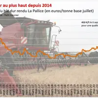 Le prix du blé dur français a répliqué la forte hausse enregistrée en Amérique du Nord au cours de l'été pour dépasser 400 €/t.