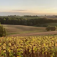 Via leur rôle de stockage de carbone dans le sol, les grandes cultures contribuent à la lutte contre le changement climatique.