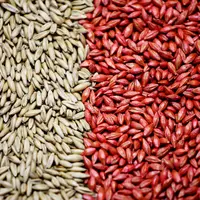 Pour la Fnams, il serait « inacceptable pour les producteurs de ne pas tenir compte dans les contractualisations » de la hausse actuelle des coûts de