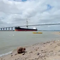 Malgré les basses eaux qui pénalisent la logistique sur le Parana, en Argentine, depuis l'été, l'Amérique du Sud reste un fournisseur incontournable d