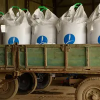 La hausse du prix des grains pourra compenser en partie la flambée du prix des engrais uniquement si les rendements sont au rendez-vous.