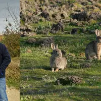 « Suite à des dégâts de lapins sur orge en 2020, j’ai signalé le problème à mon assureur avec les coordonnées du propriétaire, et un expert est venu e