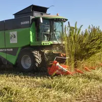 Planète chanvre transforme 7 000 tonnes de chanvre récoltées par une centaine d'agriculteurs sur 1200 hectares.