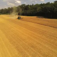 Un bail rural à long terme permet de cultiver des terres en toute sécurité jusqu'à l'échéance fixée.