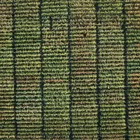 Les nombreux groupes de précocité, ainsi que les différents usages et la dynamique de la sélection conduisent à une offre abondante de variétés de maï