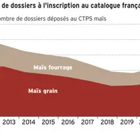 Le nombre de dossiers déposé à l'inscription en France en maïs chute depuis plus de dix ans tandis que l’utilisation par les agriculteurs de variétés
