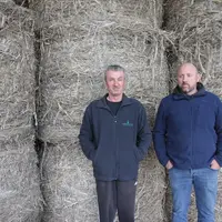 Chez Sébastien (à gauche) et Maxime Joly, le chanvre procure l'une des meilleures marges d'une rotation pourtant diversifiée, avec une moyenne d'envir