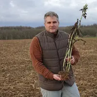 Frédéric Rémy, chef de culture à la ferme de Saint-Lubin, Val d'Oise."Le couvert composé de féverole, notamment a produit 9 t/ha de matière sèche le 2