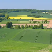 Le choix des cultures et bien recenser les infrastructures agroécologiques seront deux éléments déterminants pour préserver ses aides avec la nouvelle