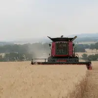 Démarcation des pâtes françaises grâce à une démarche premium, contractualisation d'au moins 15 % de la production par les producteurs d'ici trois ans