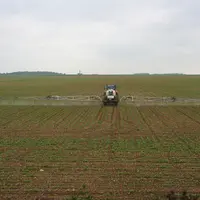 Malgré le retrait de molécules herbicides sur betteraves, des solutions efficaces subsistent.