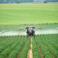Avec le retrait du mancozèbe, l'alternance de fongicides différents à chaque traitement devient d'autant plus importante pour éviter le développement