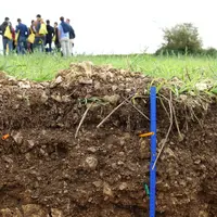 L'apport de biomasse par les cultures intermédiaires augmente le taux de matière organique des sols et donc le stockage de carbone.