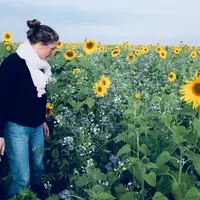 Couverts d'interculture. Les crédits carbone français devraient être payés entre 30 et 50 euros aux agriculteurs, un prix parfois inférieur au coût du