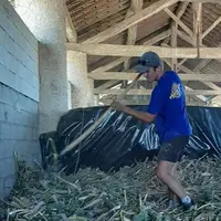 David Marty, agriculteur à Plaigne (10) :" Je cultive de l’oignon semence depuis mon installation en 2018".