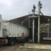 Jérôme Bosc, agriculteur à L'Isle-le-Bouzon (32)"Pour ne pas favoriser les maladies, le blé dur est semé assez clair, entre 250 et 280 grains par mètr