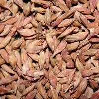 Pour les grains fusariés contenant de la DON (déoxynivalénol), le taux maximal autorisé est revu à la baisse.