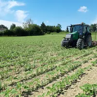 L'efficacité du binage est conditionnée à l'état du sol qui doit être sec, et à une météo clémente les 3-4 jours qui suivent l'intervention.