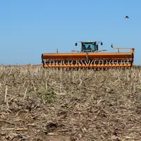 Semis de soja en Argentine. L'analyse fondamentale de marché doit intégrer des informations nombreuses et les interactions complexes du marché mondial