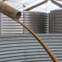 Que l'on dispose ou non de stockage, la délégation de la commercialisation via le prix de campagne et la gestion libre avec le prix ferme peuvent être