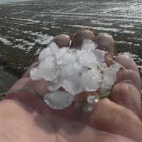La grêle est le dernier fléau en date subi par les agriculteurs cette année, après une séquence de sec qui coûtera des quintaux dans les sols superfic