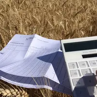 La mise à jour de ratios de gestion comme l'EBE est précieuse pour identifier d'éventuelles marges de manœuvre.