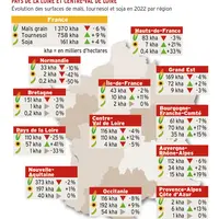 Récolte 2022 : dopé par la conjoincture, le tournesol prend des hectares au maïs