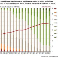 Le progrès du GPD traduit une meilleure préservation de la protéine à haut rendement