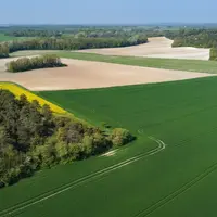 A la fin juin, alors que se profilent les semis d’été, le contour du cadre de la PAC qui s’appliquera au 1er janvier 2023 reste flou, en particulier s