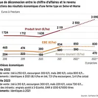 Les récoltes 2021 et 2022 devraient en moyenne donner lieu à de bons résultats en grandes cultures, malgré des disparités entre les exploitations, mai