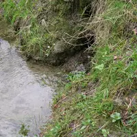 Les cas de pollution par des exploitations agricoles concernent surtout des pollutions de l'eau et entraînent des réclamations de la part des associat