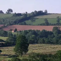 Des parcelles de moins de 6 hectares sur plus de 40 % de la SAU permettraient d'obtenir des points pour la validation de la HVE.