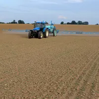 Un traitement insecticide sera nécessaire si des attaques de grosses altises se produisent avant le stade 4 feuilles du colza.