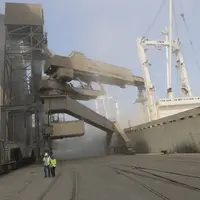 Les exportations françaises de blé tendre sur juillet-août devraient dépasser 2,4 millions de tonnes, soit plus de 800 000 tonnes au-dessus du précéde