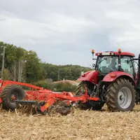 Un bon mulching des tiges de maïs préserve le sol de l'érosion et améliore la dégradation des résidus de culture.