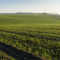 L'obligation de rotation imposée par la nouvelle PAC comporte une dimension annuelle (part des parcelles dont la culture diffère de l'année précédente
