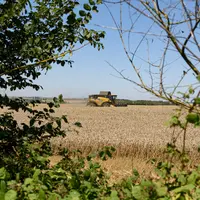 La diversité des cultures et la présence d'infrastructures agroécologiques sont deux des voies pour toucher l'écorégime, auxquelles s'ajoutent le bio