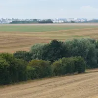 Selon les règles de la conditionnalité des aides PAC 2023 (ou BCAE pour bonnes conditions agricoles et environnementales) les infrastructures agroécol