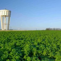 La rémunération des PSE peut prendre plusieurs formes : financement d’infrastructures, rétribution en nature (matériel), intégration dans le prix d’ac