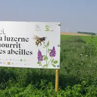 Le coût de la démarche Apiluz est pris en charge par les luzerniers et les différents partenaires du projet.