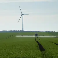 Les utilisations de phytos ont été stables entre 2020 et 2021. Les herbicides constituent 49 % de ces usages.