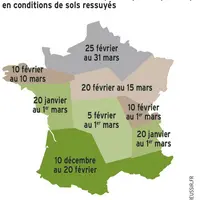 Pois de printemps : de meilleurs rendements avec des semis précoces