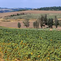 Huit départements d'Occitanie ont désormais une partie de leur territoire situé en zones intermédiaires.