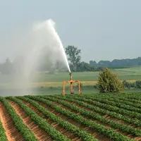 Les représentants des producteurs  estiment que "la culture de la pomme de terre ne pourra se faire sans une réelle gestion de l’eau dans les territoi
