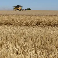 Concernant les revenus 2023, plus le coût de production sera élevé, plus l'exploitation sera à risque de voir ses marges basculer dans le négatif.