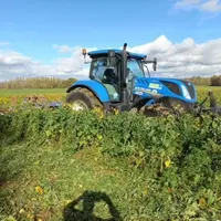 Depuis 2017, les 900 ha de la SEP Agrilor sont cultivés en agriculture de conservation des sols. Ici une destruction de couverts végétaux.