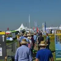 Les Culturales rassemblent en moyenne 15 000 visiteurs et 250 exposants.