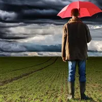 Réforme de l'assurance récolte, 500 000 hectares assurés en plus