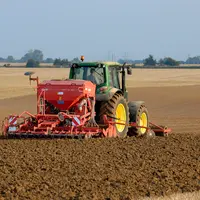 Un sol trop motteux et sec est rédhibitoire pour une bonne levée du colza.